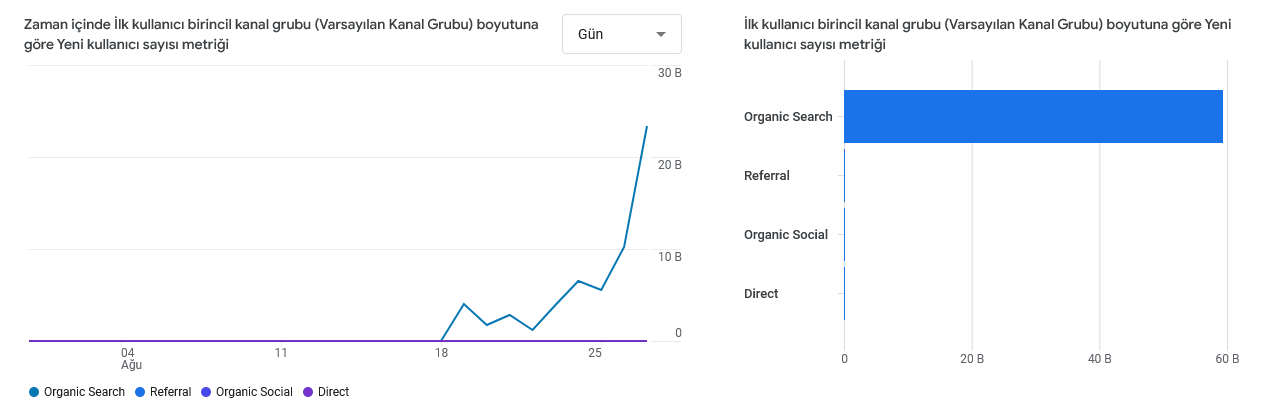 Screenshot-2024-08-28-at-22-33-45-Analytics-Kullanici-edinme-Ilk-kullanici-birincil-kanal-grubu-Varsayilan-Kanal-Grubu-1-1.png
